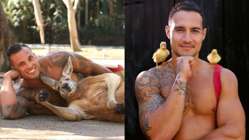 Голий торс і коала: австралійські пожежники знялися для нового календаря Голий торс і коала: австралійські пожежники знялися для нового календаря