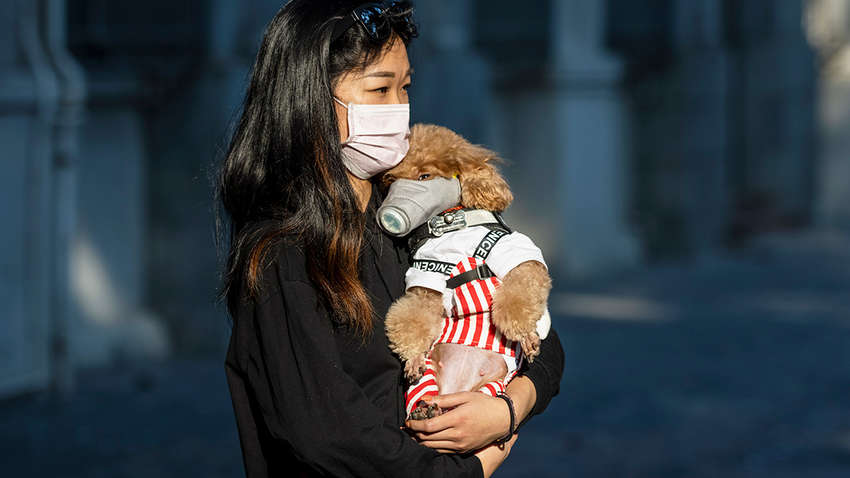 Олимпиада в Токио и Евро-2020 под угрозой из-за коронавируса