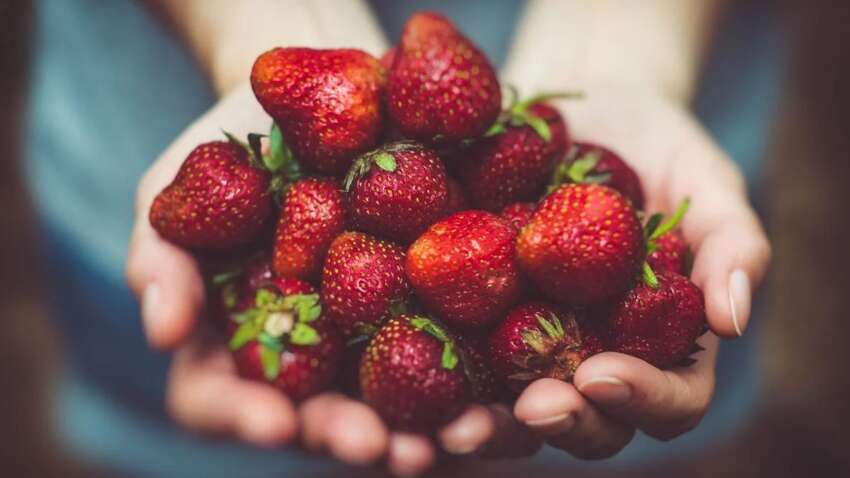 Цю помилку під час миття полуниці робить майже кожен: як слід правильно мити ягоди