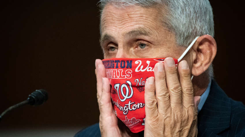 Вакцина не решит проблему с карантином - Энтони Фаучи