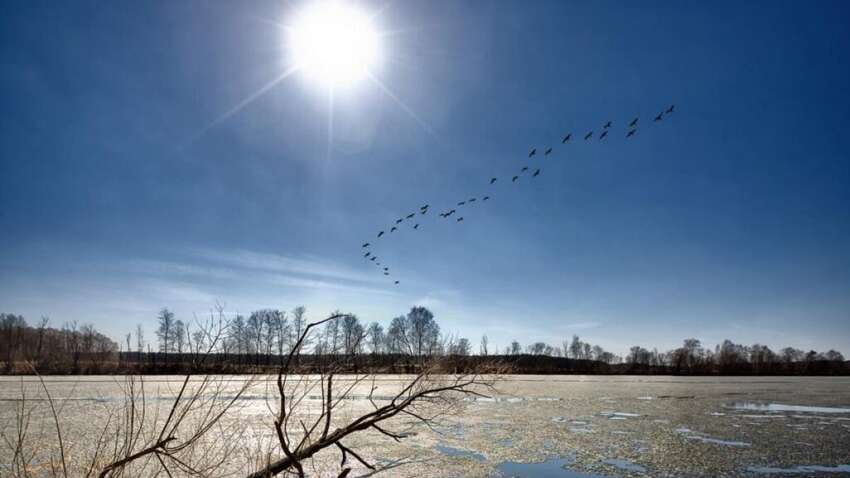 Весеннее равноденствие 20 марта 2025: чего ожидать в этот важный момент