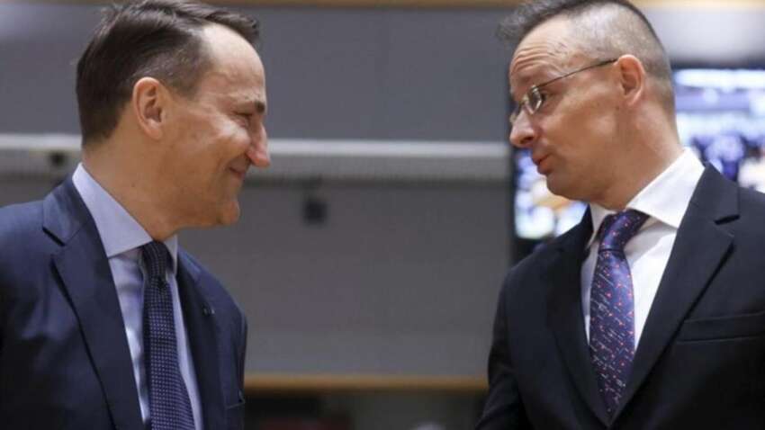 Пристрасті розпалюються: чому Сікорський та Сіярто жорстко посперечалися через Україну Пристрасті розпалюються: чому Сікорський та Сіярто жорстко посперечалися через Україну