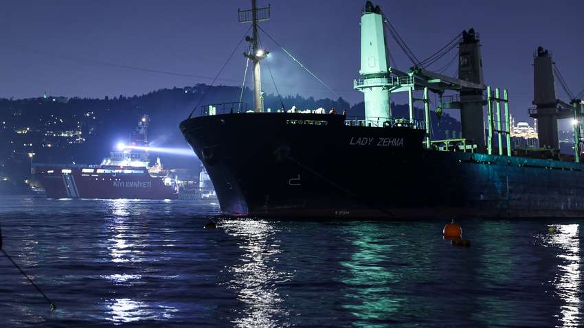 Корабль, который перевозил украинское зерно вышел из строя вблизи Стамбула 