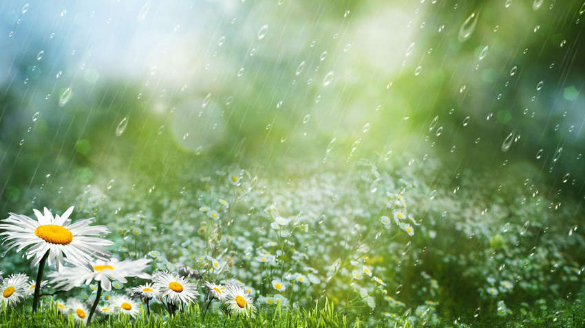 Україну накриють грози і шквали, температура від 11° до 39°