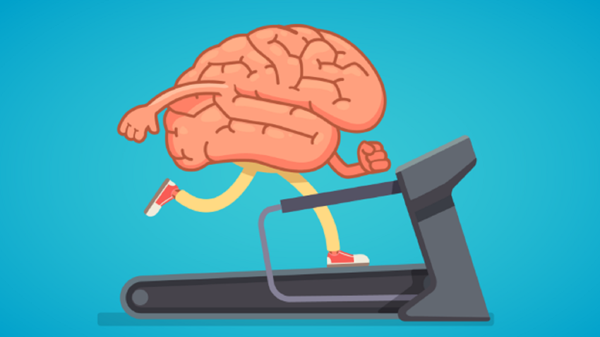 Ученые определили, от каких профессий уменьшается мозг