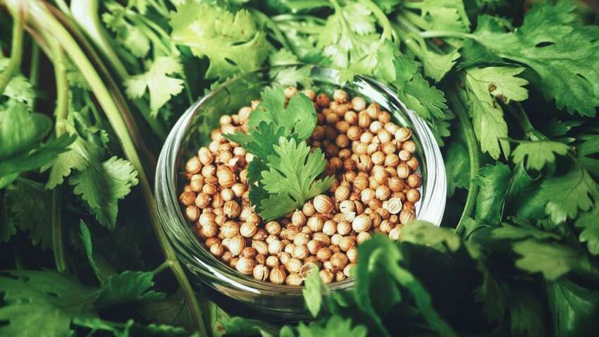 Значительно больше, чем приправа: названа уникальная специя для нормализации давления и холестерина Значительно больше, чем приправа: названа уникальная специя для нормализации давления и холестерина