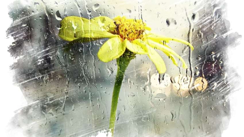 Погода в Украине: в каких областях пройдет дождь