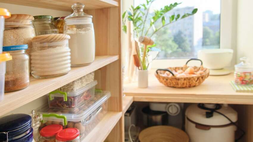 Комах у домі позбутися легко: допоможе поширена спеція