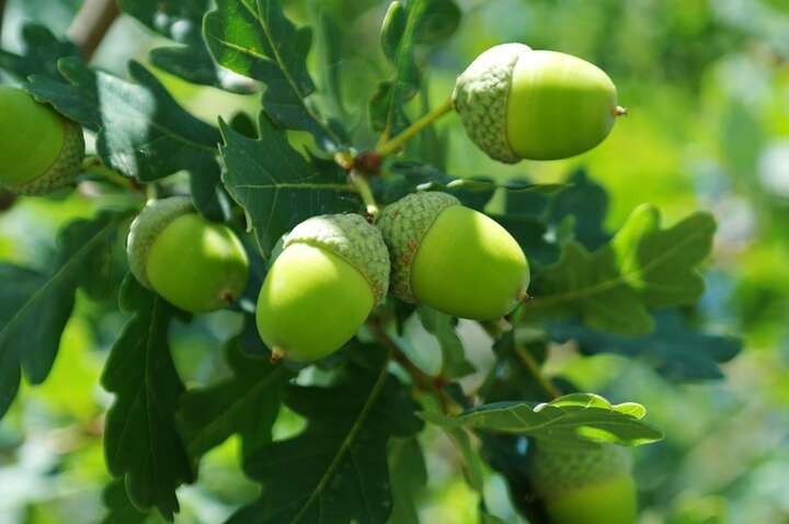 Какой церковный праздник 25 августа: для каких дел неудачен этот день