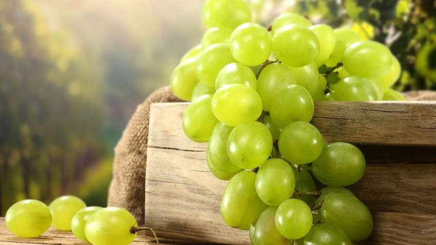 Украинские аграрии получат компенсации за приобретенный посадочный материал