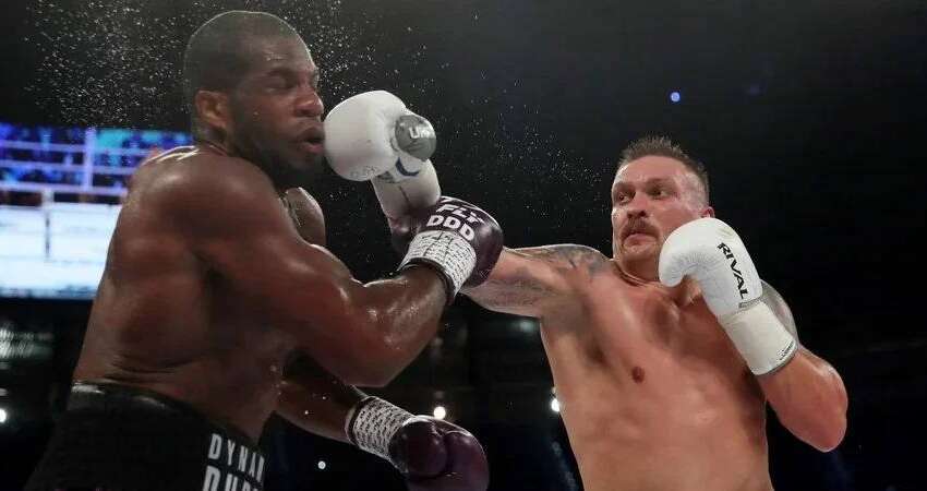 Реванш Усика и Дюбуа: назначена официальная дата Реванш Усика и Дюбуа: назначена официальная дата