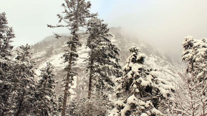 Україну  накриє сніг і сильний вітер: як зміниться погода