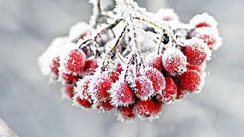 Почти всю Украину скуют морозы: будет ли еще тепло Почти всю Украину скуют морозы: будет ли еще тепло