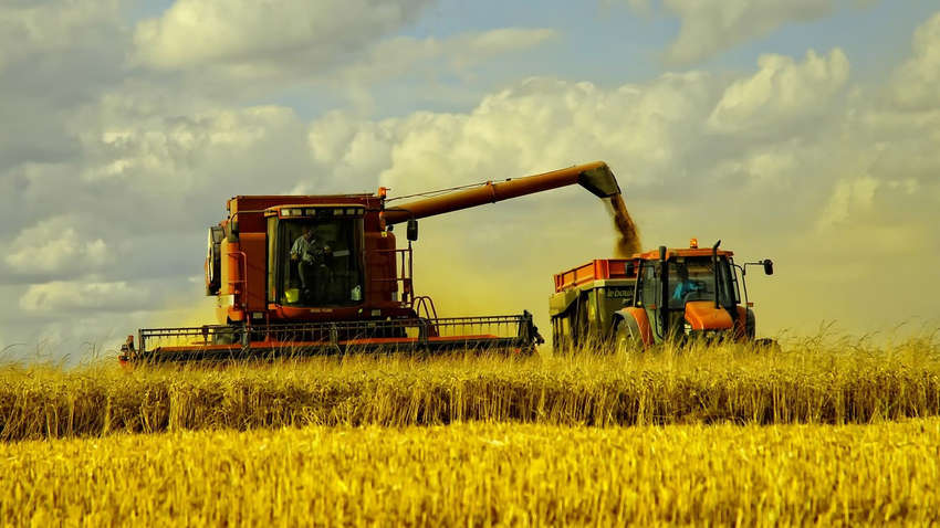 Страхование сельскохозяйственной продукции: почему это важно для Украины Страхование сельскохозяйственной продукции: почему это важно для Украины