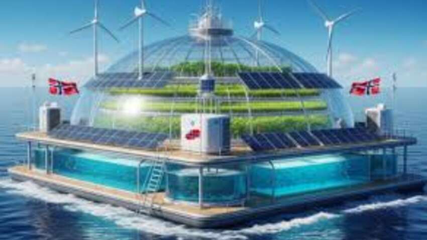Майбутнє вже настало: Норвегія запустила плавучу теплицю, яка одночасно вирощує їжу, рибу та виробляє енергію