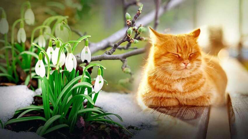 Этот день может изменить вашу судьбу: что нельзя делать 28 марта, чтобы не навлечь беду