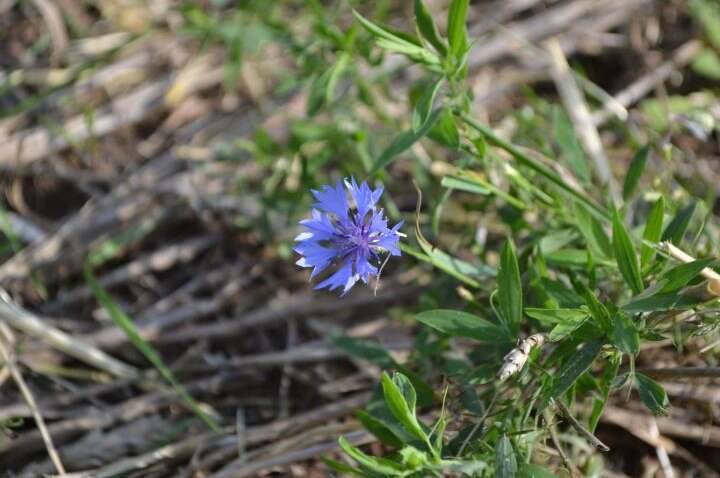 Яке церковне свято 10 липня: чому його називають "караючим" Яке церковне свято 10 липня: чому його називають "караючим"