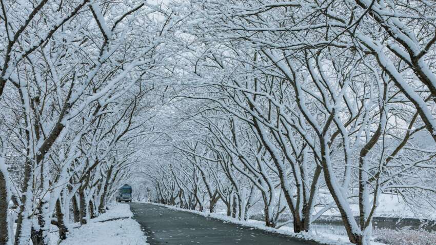 Какой церковный праздник 21 февраля: строгие запреты дня Какой церковный праздник 21 февраля: строгие запреты дня