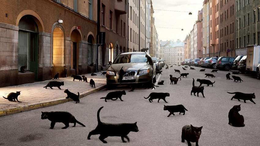 Эксперты рассказали, как суеверия влияют на психологию и благополучие 