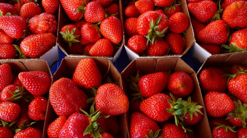 Украинцы все реже покупают клубнику  Украинцы все реже покупают клубнику