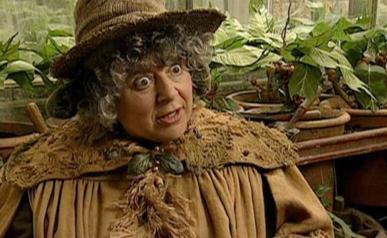 Зірка Гаррі Поттера просить її "приспати" через погіршення здоров’я