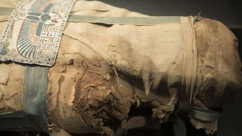 Как и зачем у египетских мумий удаляли мозг: ученые дали ответ Как и зачем у египетских мумий удаляли мозг: ученые дали ответ