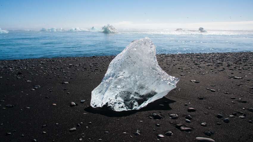 Ковид не самое страшное: миру могут угрожать вспышки неизвестных ранее болезней