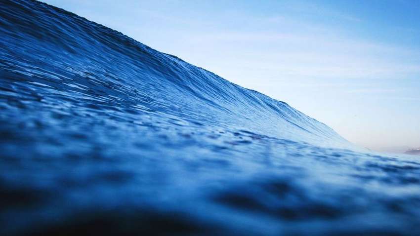 Названо головний колір 2020 року за версією Pantone