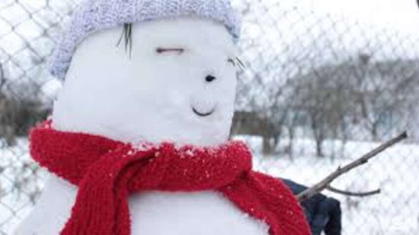 Морозы держат Украину: Новый год 2026 года встретит снегом и гололедицей Морозы держат Украину: Новый год 2026 года встретит снегом и гололедицей