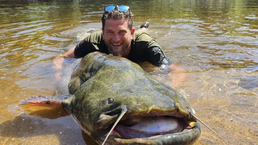Рыбак поймал гигантского сома: это национальный рекорд (ФОТО) Рыбак поймал гигантского сома: это национальный рекорд (ФОТО)