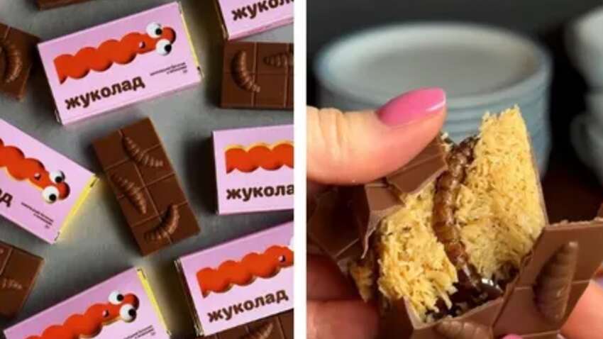 В Украине появился "Жуколад": шоколадный батончик с личинками жуков В Украине появился "Жуколад": шоколадный батончик с личинками жуков