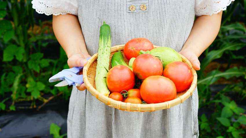 Пять способов, которые защитят вас от пестицидов