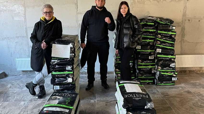 Рятують життя по всій Україні: як громадська організація з Києва допомагає тваринам під час війни