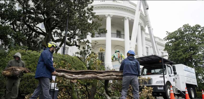Сьогодні Трамп власноруч виправить помилку, якою розлютив американців Сьогодні Трамп власноруч виправить помилку, якою розлютив американців
