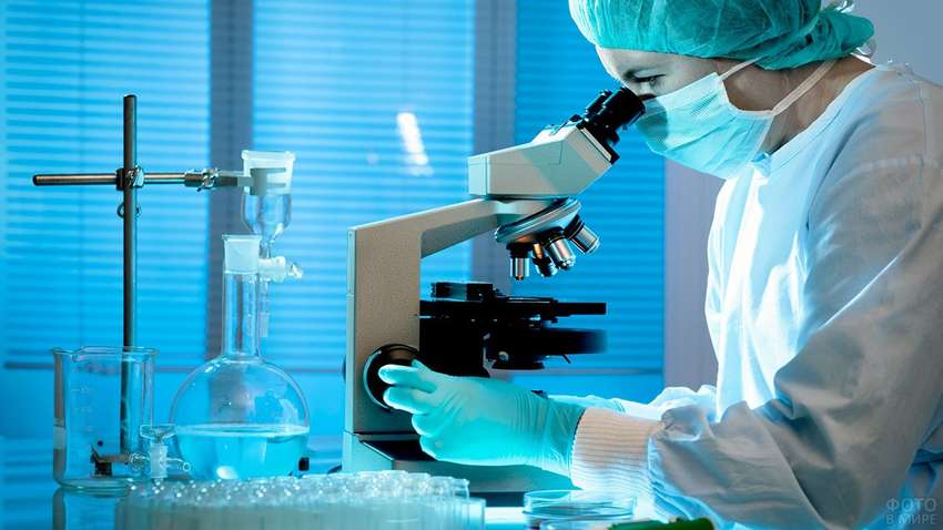 Ученые из Оксфорда создали тест, определяющий COVID-19 в организме человека за 5 минут Ученые из Оксфорда создали тест, определяющий COVID-19 в организме человека за 5 минут