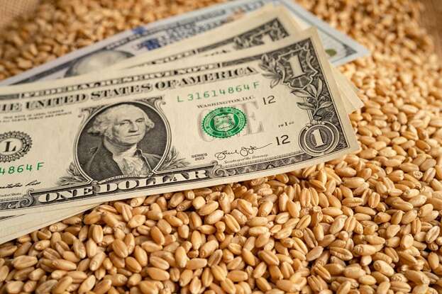 Колебания цена на экспорт основных аграгных культур Украины Колебания цена на экспорт основных аграгных культур Украины