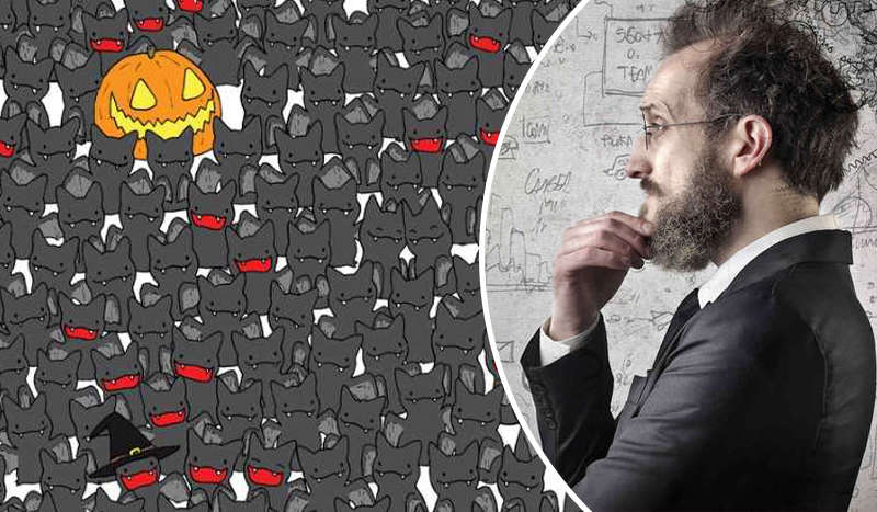 Тест IQ на оптическую иллюзию: найдите черного кота на картинке за 30 секунд Тест IQ на оптическую иллюзию: найдите черного кота на картинке за 30 секунд