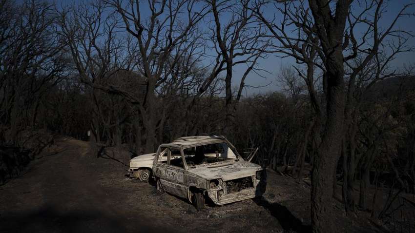 У Франції продовжують бушувати лісові пожежі: стихія вбиває людей (ФОТО)