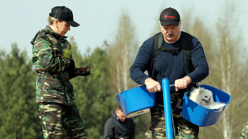 Вместо карантина: 2,3 млн белорусов во главе с Лукашенко устроили общенациональный субботник