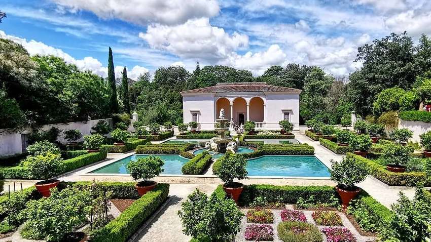 Мільйонер шукає друзів для святкування розкішного Різдва 