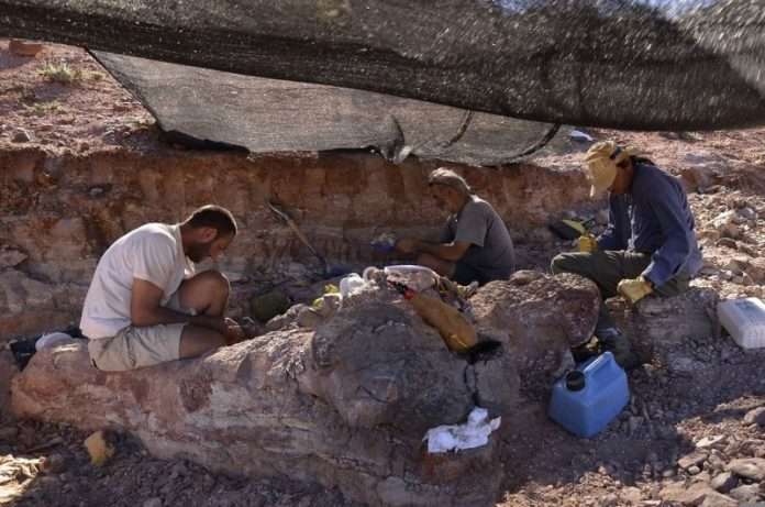  В базилике Рождества Христова обнаружено уникальный артефакт
