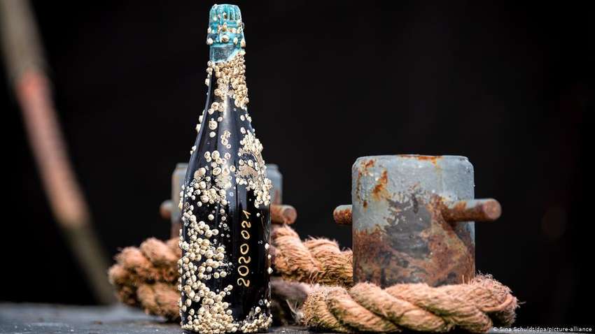 Виглядає ефектно: в Німеччині випустили пиво з морськими жолудями