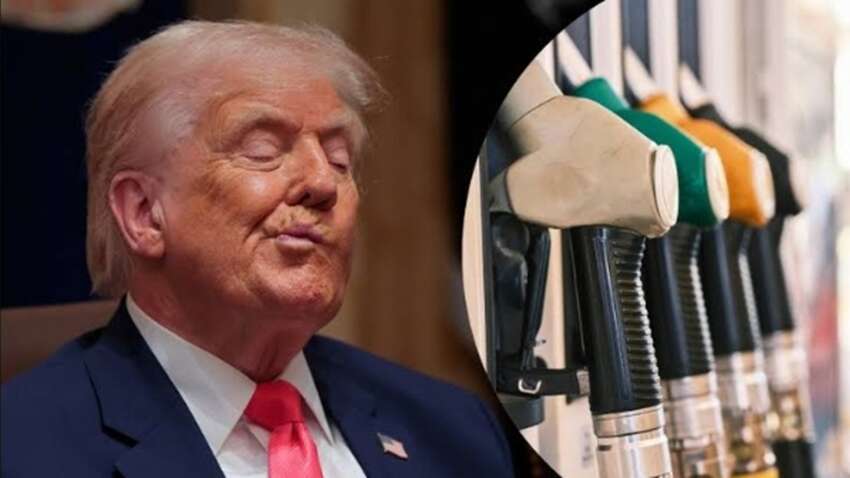 У Трампа есть лучший способ мгновенно решить проблему с дизелем: эксперт удивил заявлением У Трампа есть лучший способ мгновенно решить проблему с дизелем: эксперт удивил заявлением