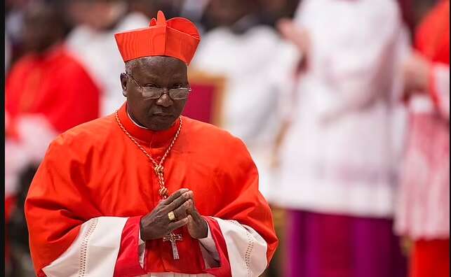 Рішення конклаву можуть визнати недійсним: цей кардинал зруйнує все Рішення конклаву можуть визнати недійсним: цей кардинал зруйнує все