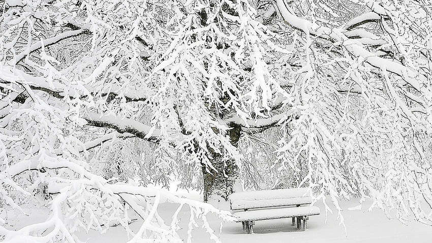 Сильные морозы до -23 градусов накроют Украину: где будет холоднее всего 23 декабря Сильные морозы до -23 градусов накроют Украину: где будет холоднее всего 23 декабря