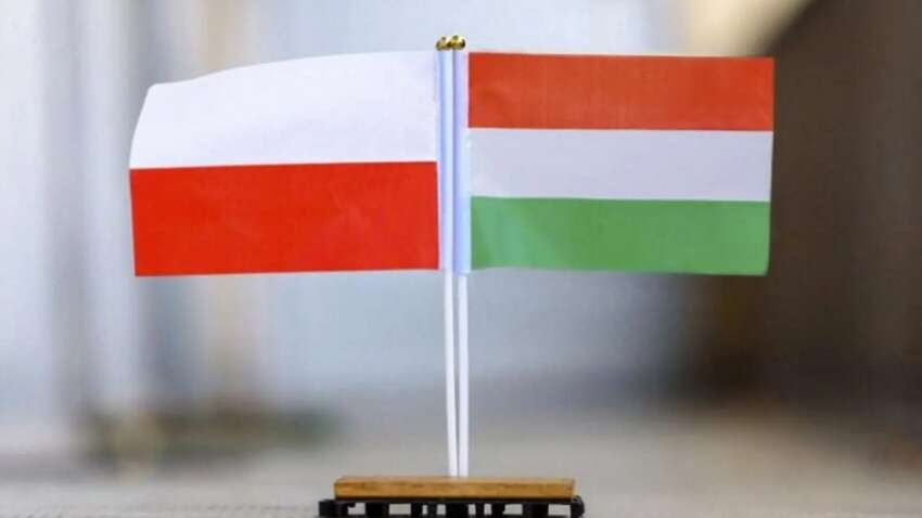 Угорщина і Польща готують новий болючий удар по Україні: деталі   Угорщина і Польща готують новий болючий удар по Україні: деталі