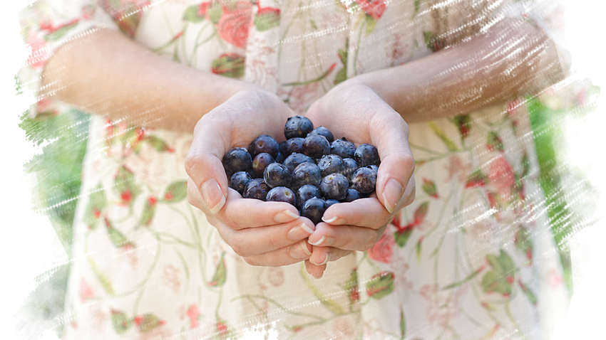 Как быстро отстирать чернику с одежды: полезные лайфхаки Как быстро отстирать чернику с одежды: полезные лайфхаки