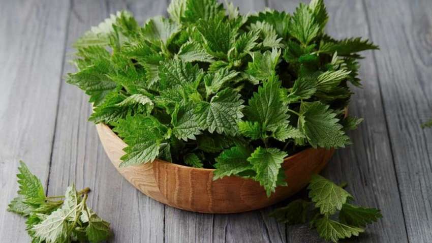 Як підвищити гемоглобін: п'ять незвичайних способів