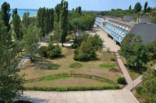 Какой опасный штамм коронавируса подтвердили в инфицированных детей в лагере Одессы Какой опасный штамм коронавируса подтвердили в инфицированных детей в лагере Одессы