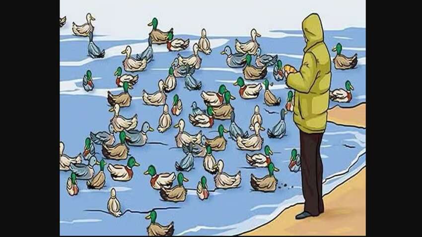 Тест на уважність, що збиває з пантелику: знайдіть помилку на зображенні